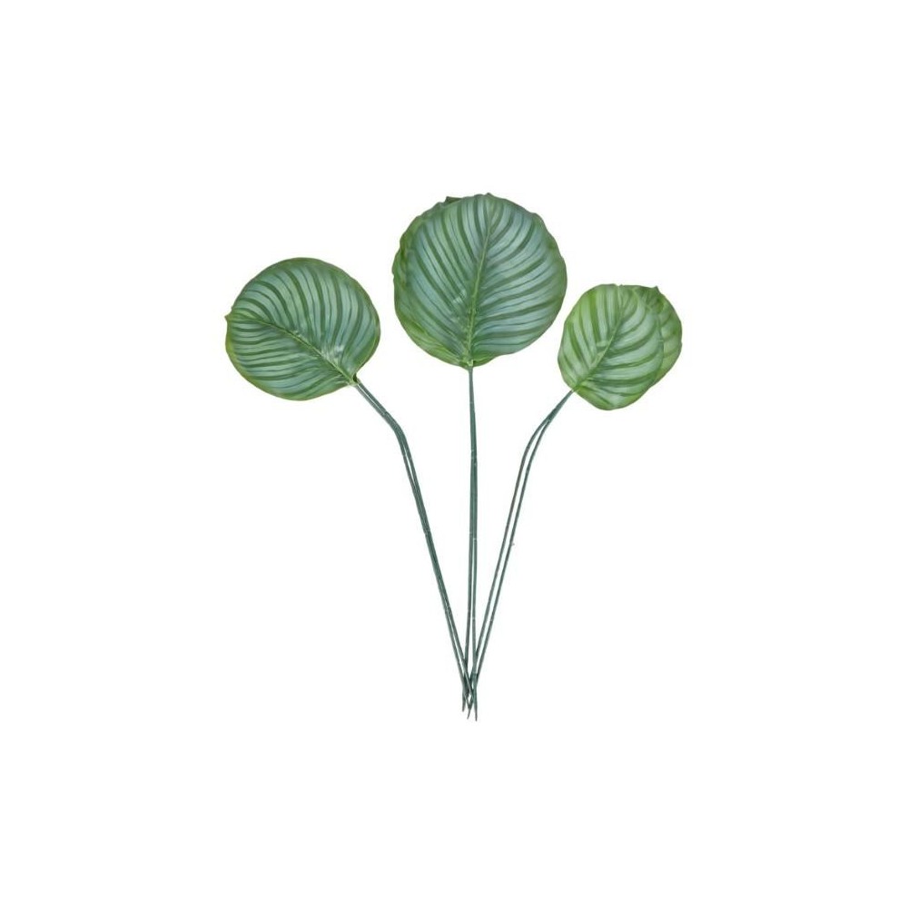 SET 6 FOGLIE ORBIFOLIA 3ASS